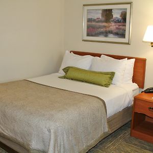 Studio Suite